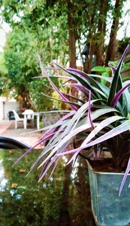 Aandrus Guesthouse Bloemfontein Eksteriør billede